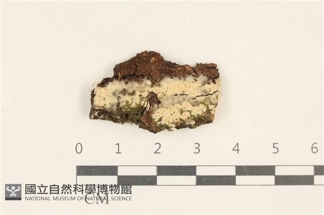 登錄號:F0017680藏品圖，第1張