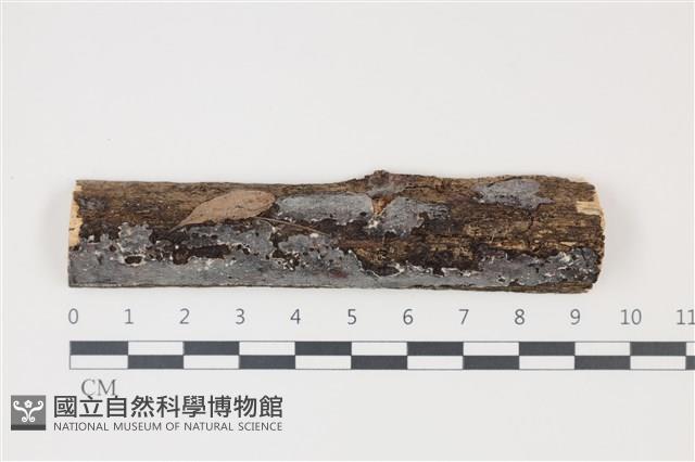 登錄號:F0035230藏品圖，第1張