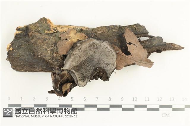 登錄號:F0038630藏品圖，第1張