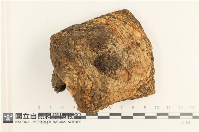 登錄號:F0037630藏品圖，第1張