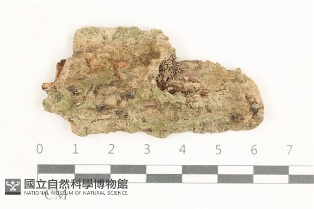 登錄號:F0038430藏品圖，第1張