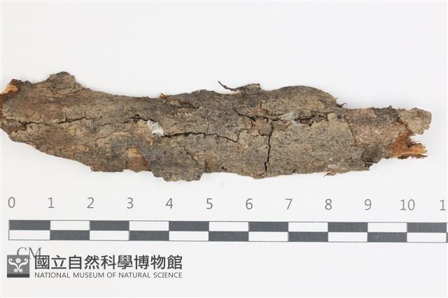 登錄號:F0035430藏品圖，第1張