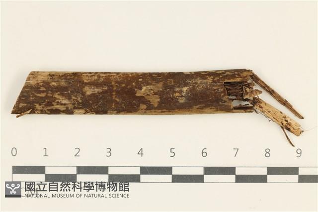 登錄號:F0038130藏品圖，第1張