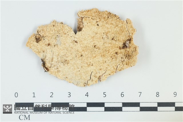 登錄號:F0039130藏品圖，第1張