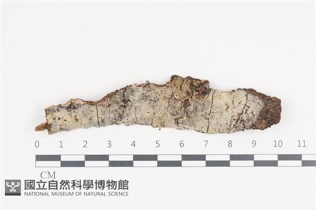 登錄號:F0036270藏品圖，第1張
