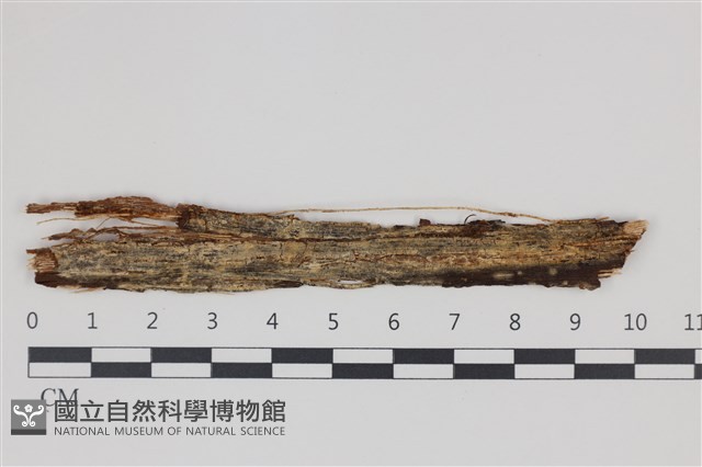 登錄號:F0035266藏品圖，第1張