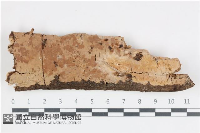 登錄號:F0035966藏品圖，第1張