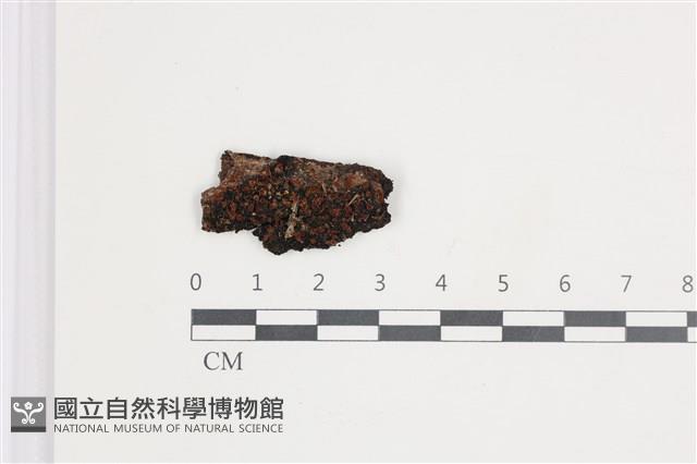 登錄號:F0035666藏品圖，第1張