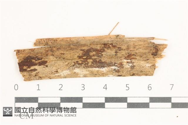 登錄號:F0038426藏品圖，第1張