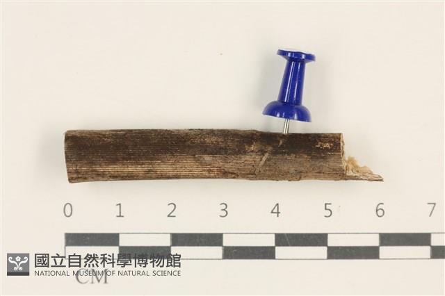 登錄號:F0037726藏品圖，第1張