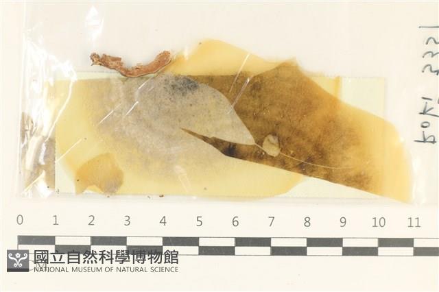 登錄號:F0038126藏品圖，第1張