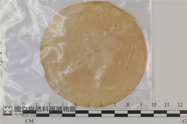 登錄號:F0035206藏品圖，第1張