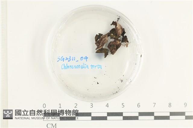 登錄號:F0038606藏品圖，第1張