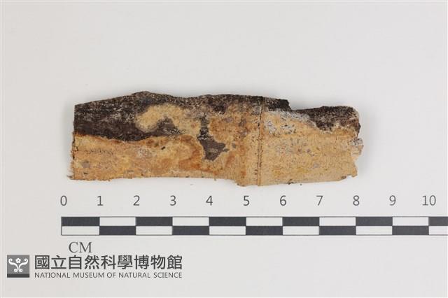 登錄號:F0035706藏品圖，第1張