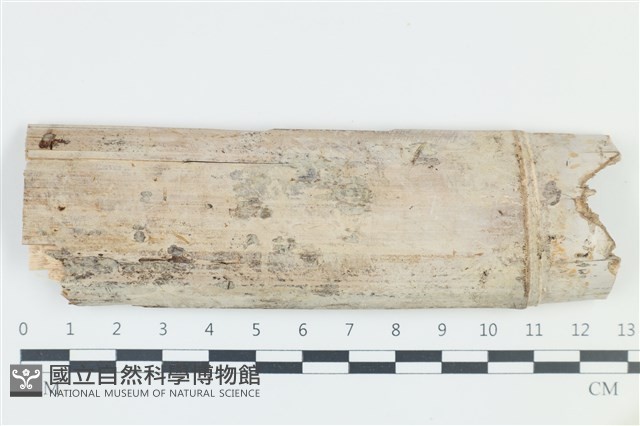 登錄號:F0039106藏品圖，第1張