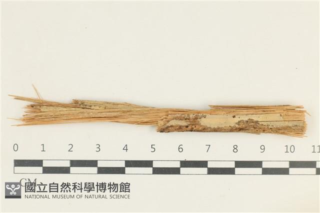 登錄號:F0038306藏品圖，第1張