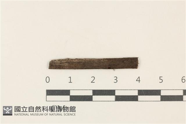 登錄號:F0037716藏品圖，第1張