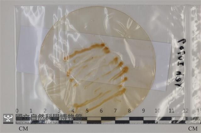 登錄號:F0035116藏品圖，第1張