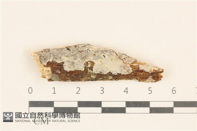 館號:F0028656藏品圖，第1張