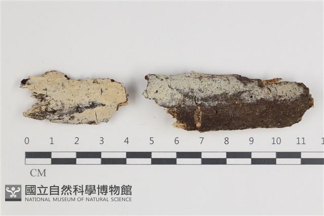 登錄號:F0035656藏品圖，第1張