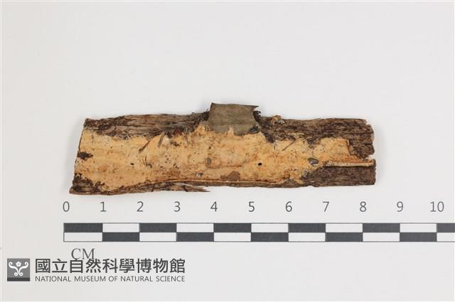登錄號:F0035456藏品圖，第1張