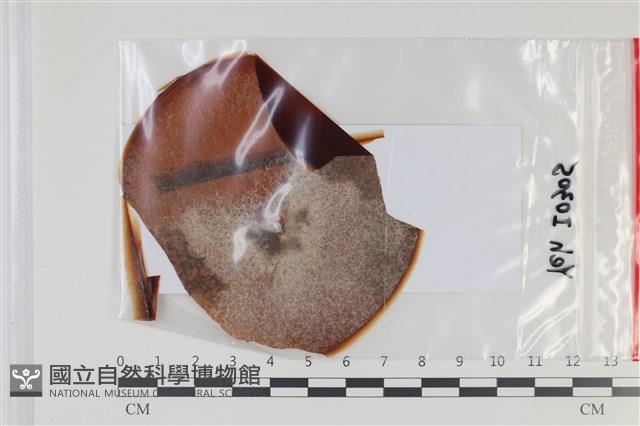 登錄號:F0035056藏品圖，第1張