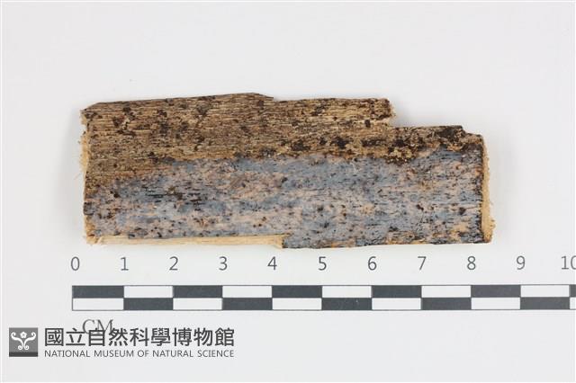 登錄號:F0035946藏品圖，第1張