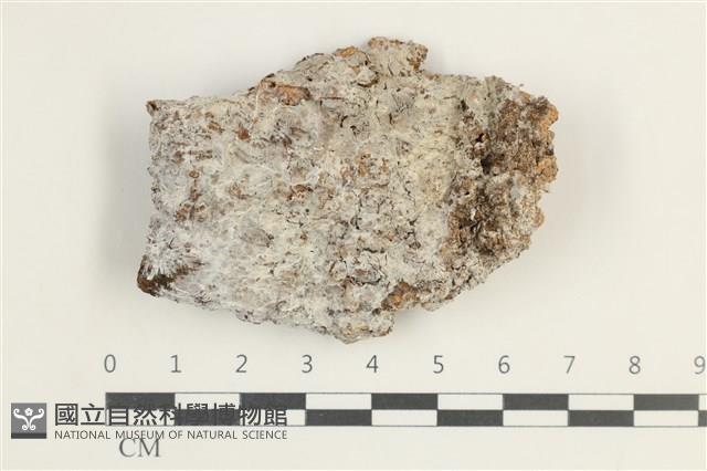 登錄號:F0038446藏品圖，第1張