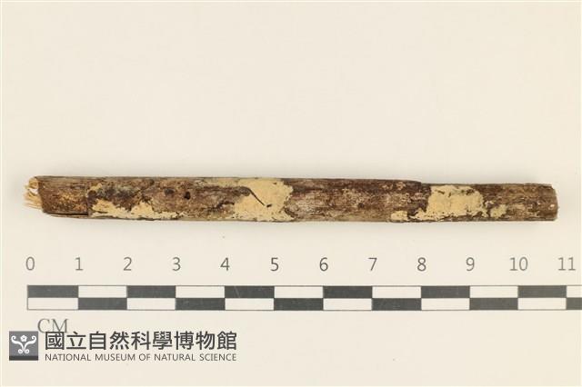 登錄號:F0018996藏品圖，第1張