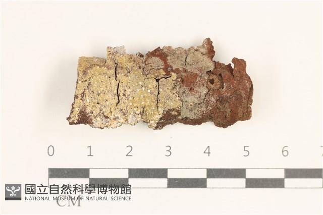 登錄號:F0038496藏品圖，第1張