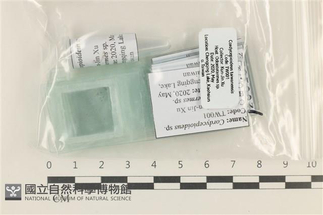登錄號:F0037796藏品圖，第1張