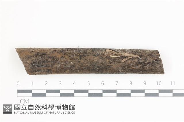 登錄號:F0036596藏品圖，第1張
