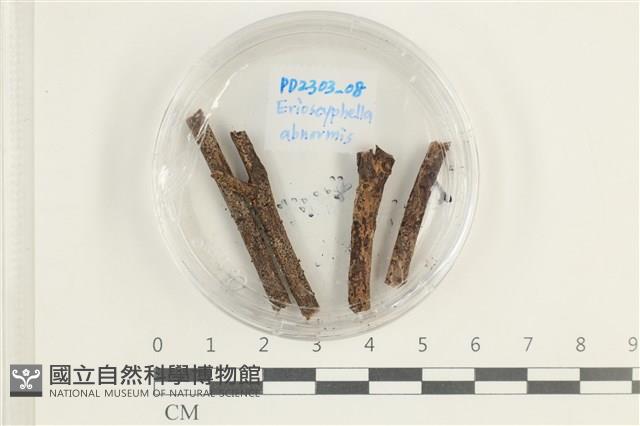 登錄號:F0038586藏品圖，第1張