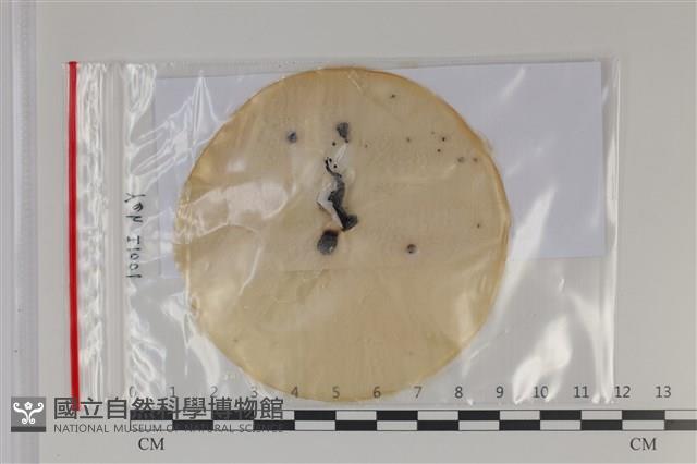 登錄號:F0035176藏品圖，第1張