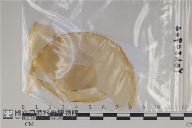 登錄號:F0035161藏品圖，第1張
