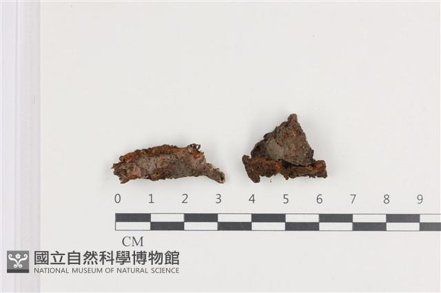 登錄號:F0036221藏品圖，第1張