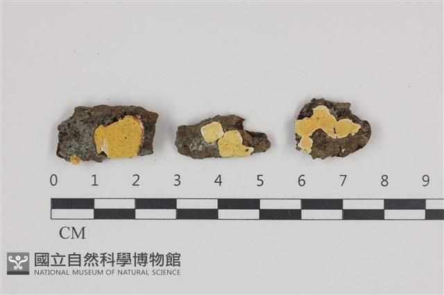 登錄號:F0035821藏品圖，第1張