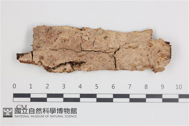 登錄號:F0035721藏品圖，第1張
