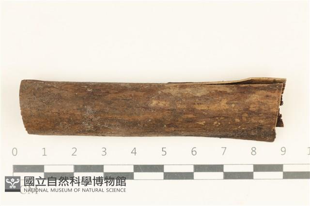 登錄號:F0038121藏品圖，第1張