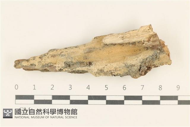 登錄號:F0019001藏品圖，第1張