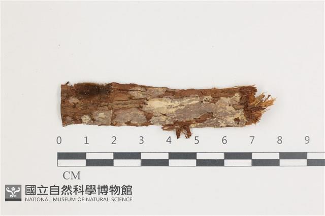 登錄號:F0035811藏品圖，第1張
