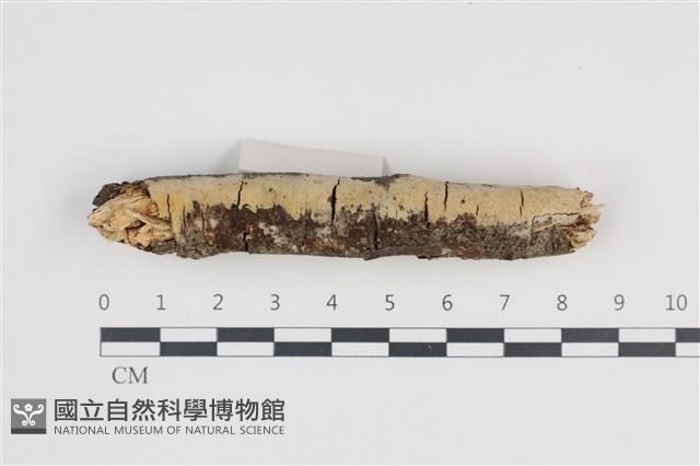 Accession Number:F0035911 Collection Image, Figure 1, Total 2 Figures