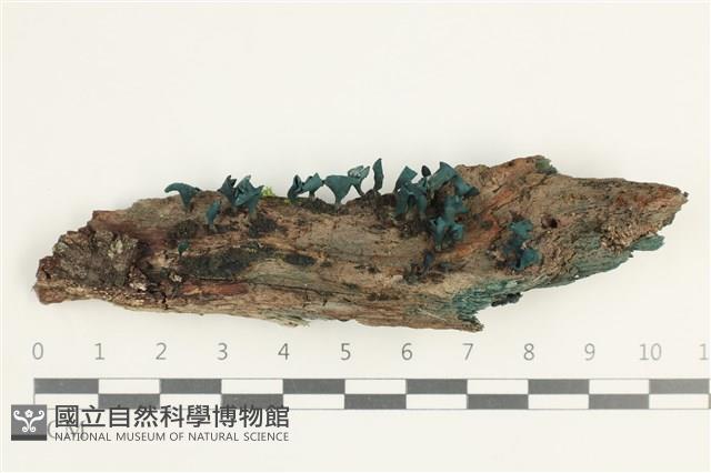 登錄號:F0038611藏品圖，第1張