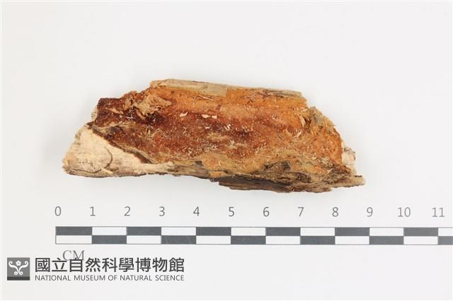 登錄號:F0036711藏品圖，第1張