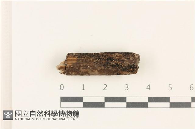 館號:F0037711藏品圖，第1張