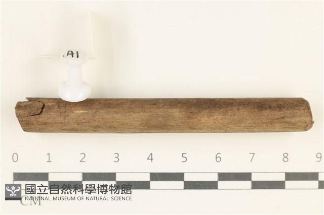 登錄號:F0038111藏品圖，第1張