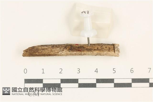 登錄號:F0037951藏品圖，第1張