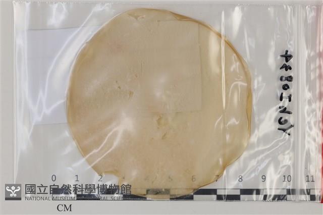 登錄號:F0035151藏品圖，第1張