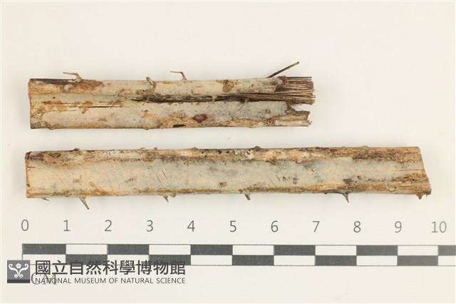 登錄號:F0038351藏品圖，第1張