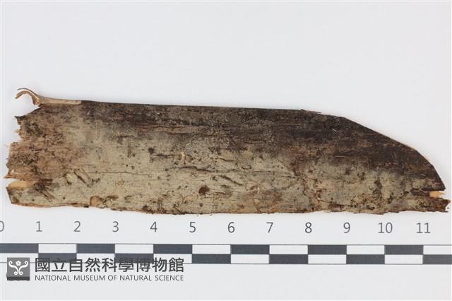 登錄號:F0035241藏品圖，第1張